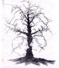 Copac x oameni- iluzie optica