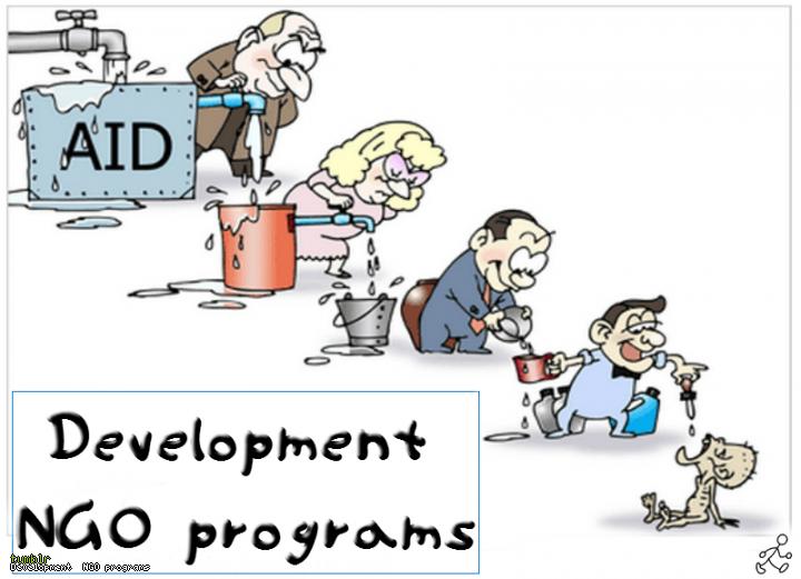 Development  NGO programs
